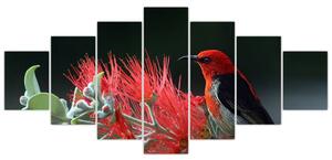 Obraz vtákov - červená (Obraz 210x100cm)