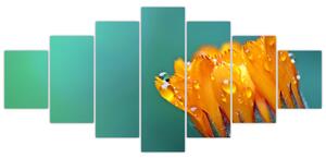 Obraz oranžového kvetu (Obraz 210x100cm)