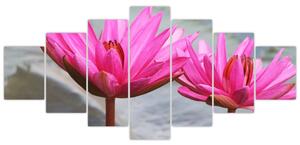 Obraz dvoch kvetov (Obraz 210x100cm)