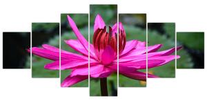 Obraz kvetu (Obraz 210x100cm)