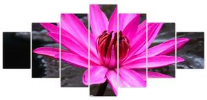 Obraz s detailom kvetu (Obraz 210x100cm)