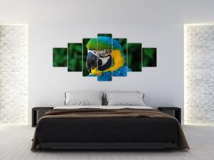 Obraz papagája (Obraz 210x100cm)