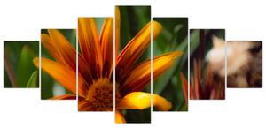 Obraz detailu kvety (Obraz 210x100cm)