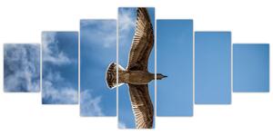 Obraz letiaceho vtáka (Obraz 210x100cm)