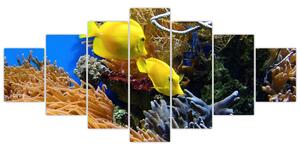 Podmorský svet - obraz (Obraz 210x100cm)