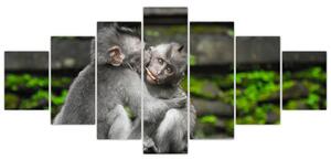 Obraz na stenu - opice (Obraz 210x100cm)