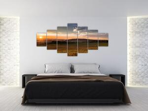 Obraz zapadajúceho slnka na poli (Obraz 210x100cm)