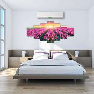 Obraz - polia kvetov (Obraz 210x100cm)