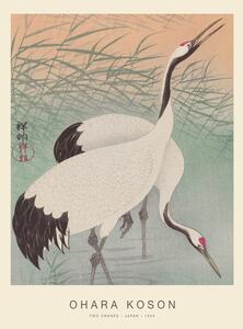 Obrazová reprodukcia Two Cranes (Special Edition) - Ohara Koson