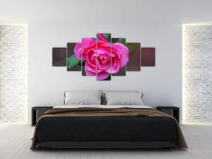 Obraz ruže na stenu (Obraz 210x100cm)
