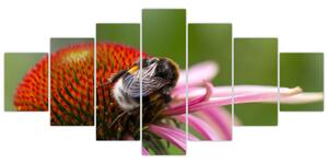 Obraz včely na kvete (Obraz 210x100cm)