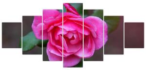 Obraz ruže na stenu (Obraz 210x100cm)