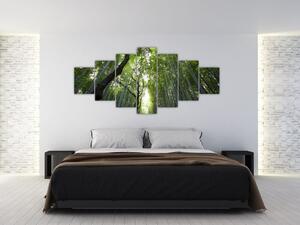 Obraz lesov (Obraz 210x100cm)