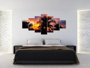 Obraz palmy na stenu (Obraz 210x100cm)