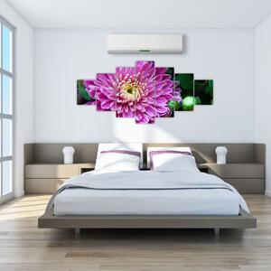 Obraz kvetu na stenu (Obraz 210x100cm)