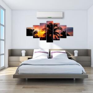 Obraz palmy na stenu (Obraz 210x100cm)