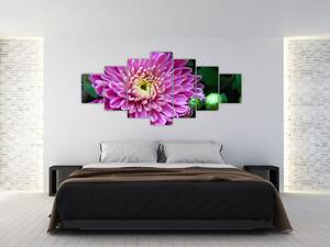Obraz kvetu na stenu (Obraz 210x100cm)