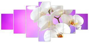 Obraz s orchideí (Obraz 210x100cm)