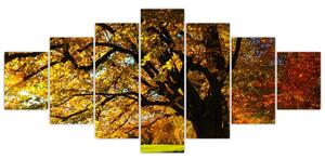 Obraz jesennej krajiny (Obraz 210x100cm)