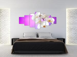 Obraz s orchideí (Obraz 210x100cm)