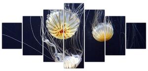 Obraz - medúzy (Obraz 210x100cm)