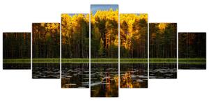 Obraz - jesenná krajina (Obraz 210x100cm)