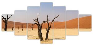 Obraz púšte (Obraz 210x100cm)