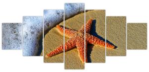Obraz s morskou hviezdou (Obraz 210x100cm)