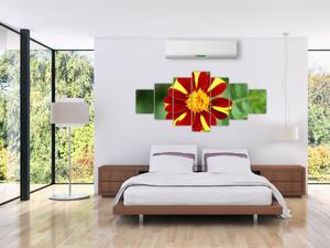 Obraz kvety na stenu (Obraz 210x100cm)
