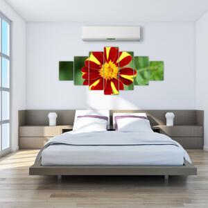 Obraz kvety na stenu (Obraz 210x100cm)