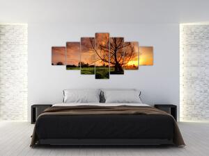 Západ slnka, obrazy (Obraz 210x100cm)