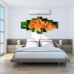 Obraz kvetín (Obraz 210x100cm)
