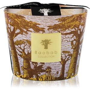 Baobab Collection Sacred Trees Cocody vonná sviečka 10 cm