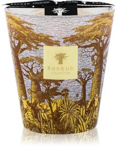 Baobab Collection Sacred Trees Cocody vonná sviečka 16 cm