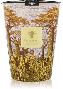 Baobab Collection Sacred Trees Cocody vonná sviečka 24 cm