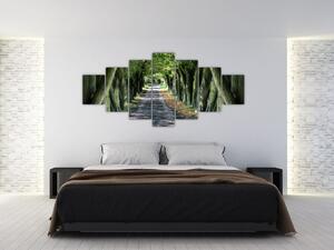 Údolie stromov, obrazy (Obraz 210x100cm)