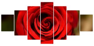 Detail ruže - obraz (Obraz 210x100cm)