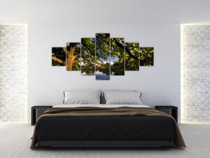 Obrázok stromu - moderné obrazy (Obraz 210x100cm)