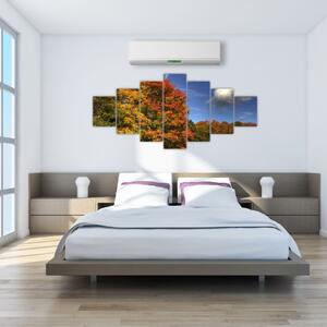 Jesenné stromy - obraz (Obraz 210x100cm)