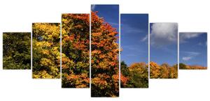 Jesenné stromy - moderný obraz (Obraz 210x100cm)
