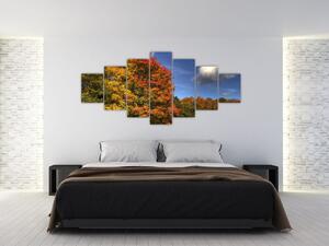 Jesenné stromy - obraz (Obraz 210x100cm)