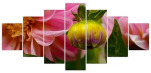 Obraz kvetu rastliny (Obraz 210x100cm)