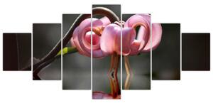 Obraz kvety (Obraz 210x100cm)