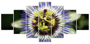 Obrazy kvetov (Obraz 210x100cm)