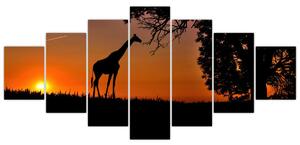 Obraz žirafy v prírode (Obraz 210x100cm)