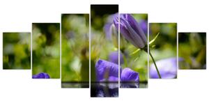 Modrá kvetina - obraz (Obraz 210x100cm)