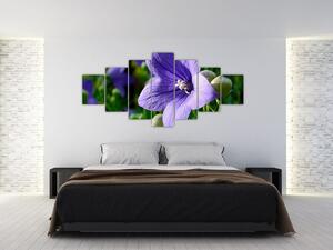 Kvety - obraz (Obraz 210x100cm)
