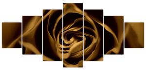 Obraz ruže (Obraz 210x100cm)