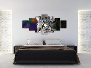 Mačka - obraz (Obraz 210x100cm)