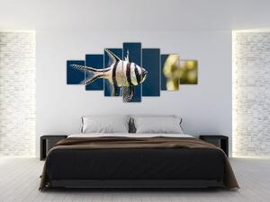 Ryba - obraz (Obraz 210x100cm)